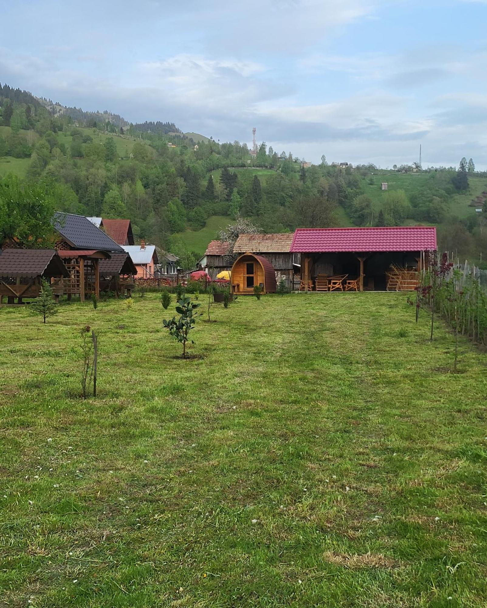 Pensiunea Rozmarin Borca Exterior foto