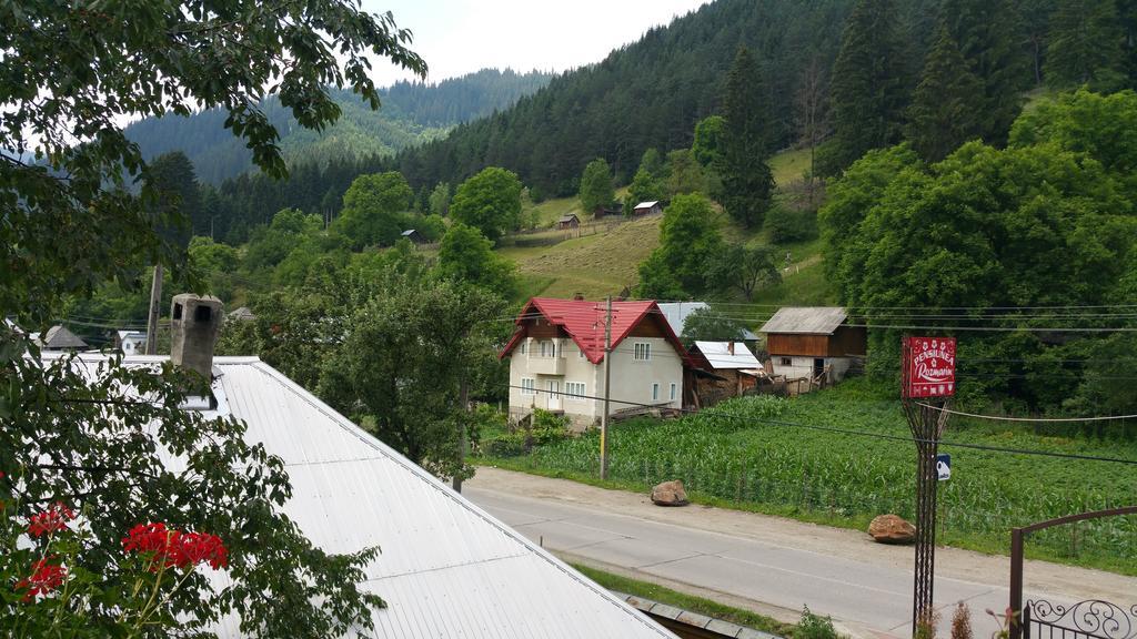 Pensiunea Rozmarin Borca Exterior foto